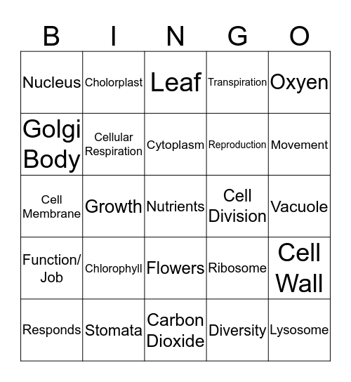 MR. CRENG and the Organelles  Bingo Card