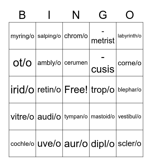 Special Senses Bingo Card