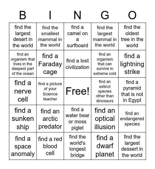 Scavenger Hunt Bingo Challenge Bingo Card