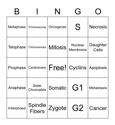Mitosis Bingo Card
