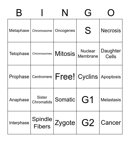 Mitosis Bingo Card