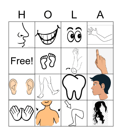 2o: El cuerpo Bingo Card