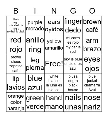 colors and body parts Bingo Card