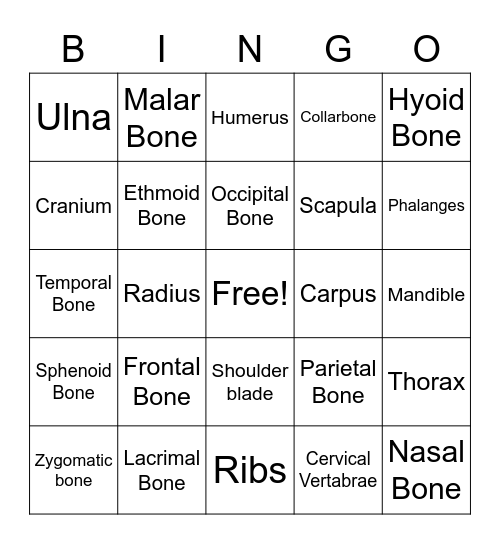 Esthetics Anatomy Bingo Card