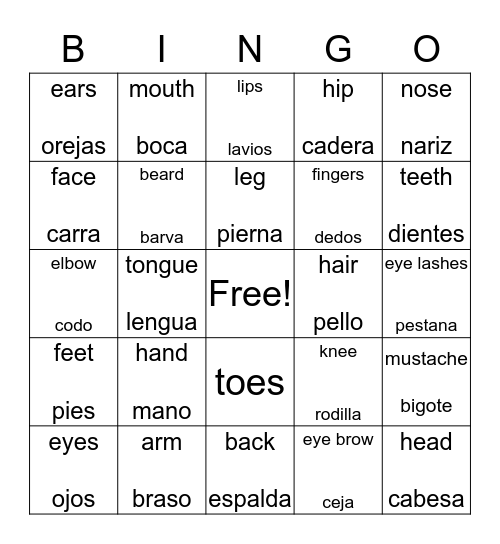 Body Parts Bingo Card