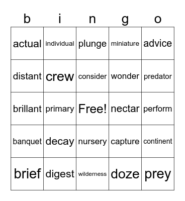 Candy rap vocabulary 4th Bingo Card