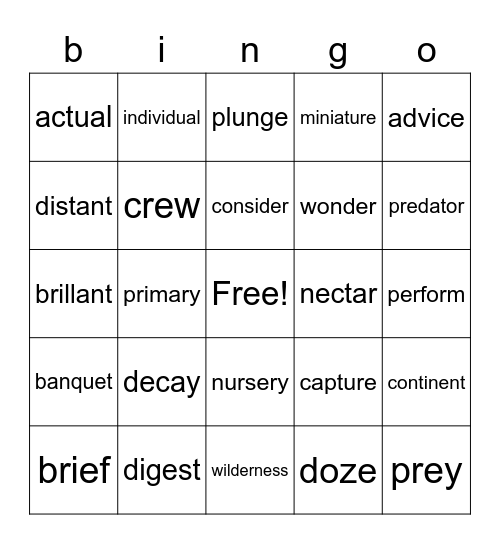 Candy rap vocabulary 4th Bingo Card