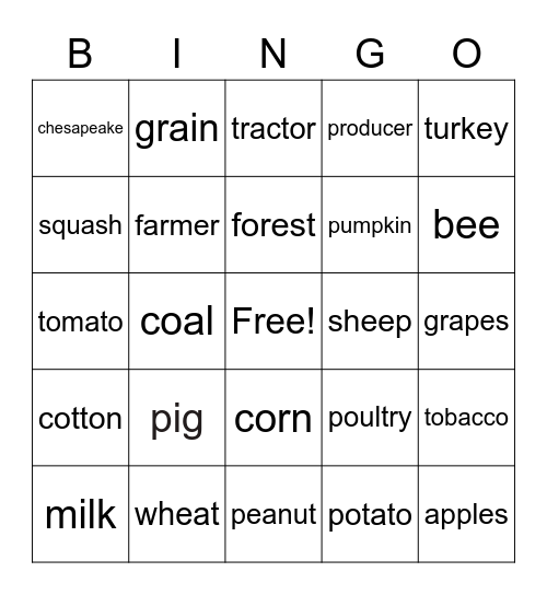 Emersyns bingo Card