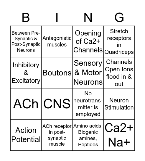 Neurons Bingo Card