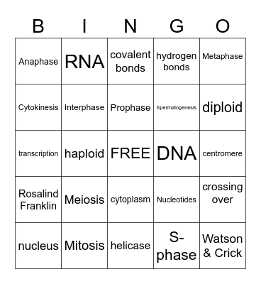 Genetics Part I Bingo Card