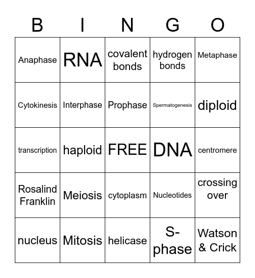 Genetics Part I Bingo Card