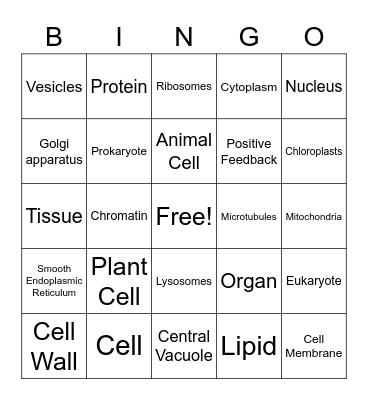 Cells and Organelles Bingo Card