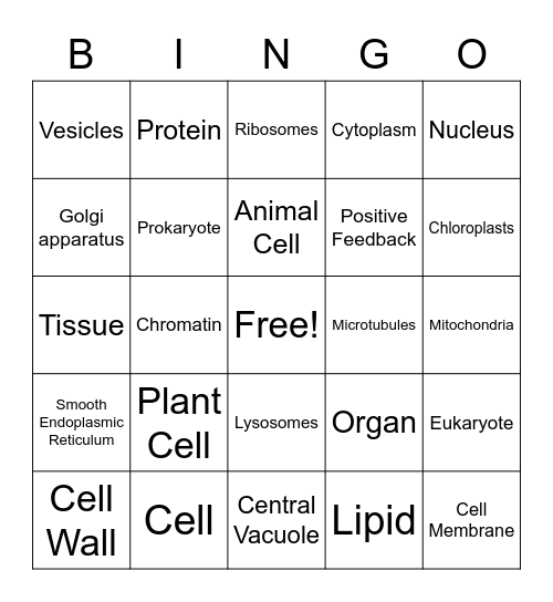 Cells and Organelles Bingo Card