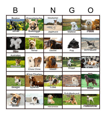 Dogs Bingo Card