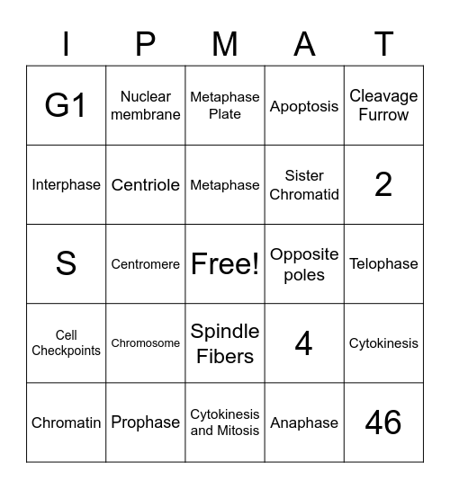 Cell Cycle Bingo Card