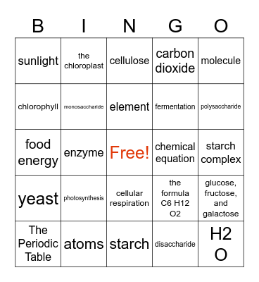 Photosynthesis and Cellular respiration! Bingo Card