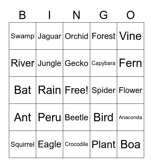 Rainforest Bingo Card