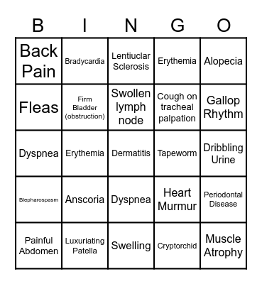 Physical Exam Bingo Card