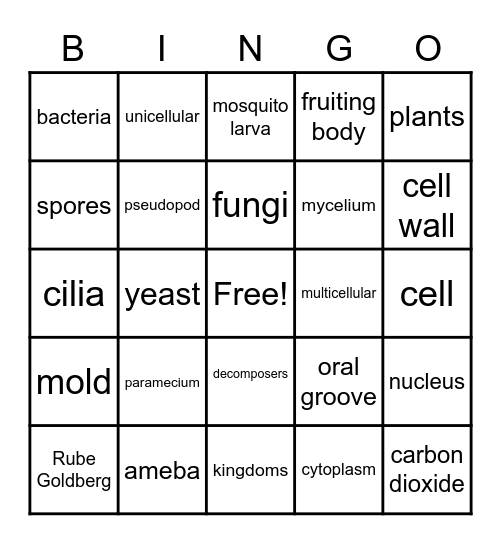 Fall Science & Engineering Bingo Card