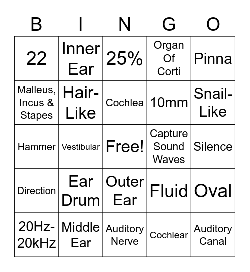 Anatomy Of The Human Ear Review Bingo Card