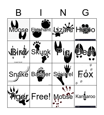 Animal Tracks Bingo Card