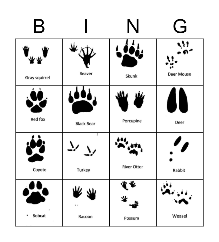 Animal Tracks Bingo Card