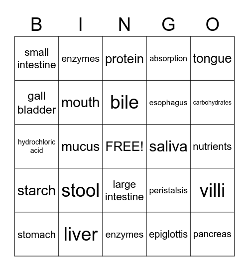 Digestive System Bingo Card