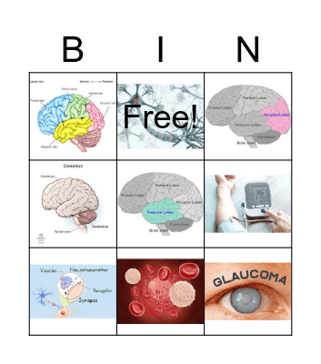 Quiz 14 Bingo Card