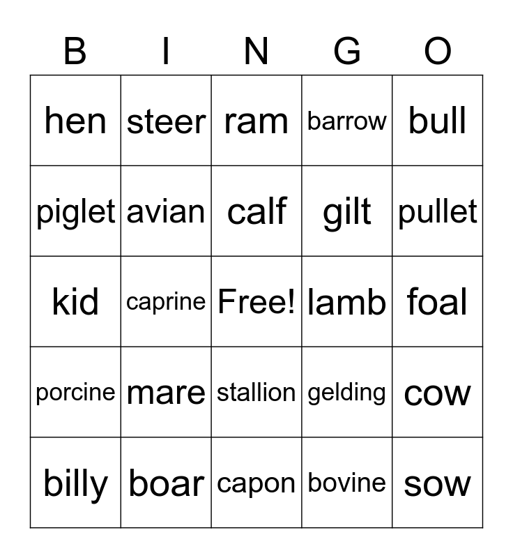 livestock-terminology-bingo-card