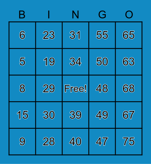 BINGO FUN Bingo Card