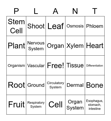 Plant Bingo Card