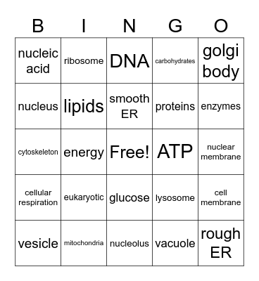 Animal Cells Bingo Card