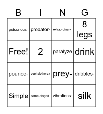 Spiders Vocabulary Bingo Card