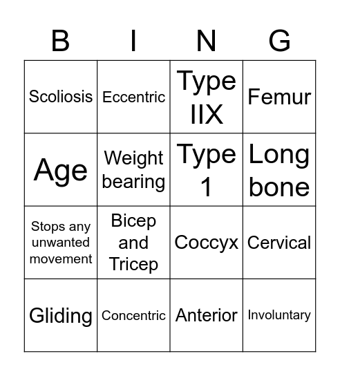 Skeletal and Muscular system Bingo Card