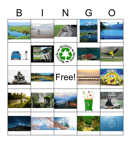 Ecology Bingo Card