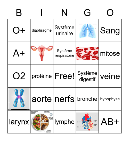 BINGO SCIENCE Bingo Card