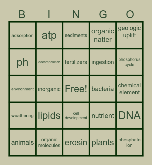 phosphorus cycle Bingo Card