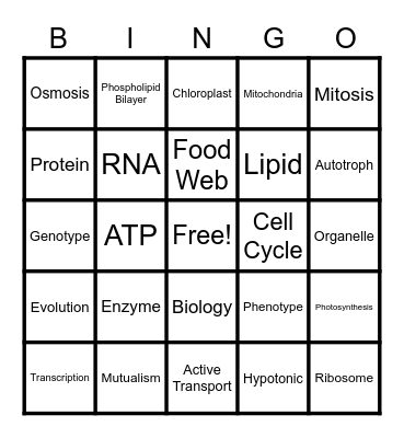 Biology EOC Review BINGO Card