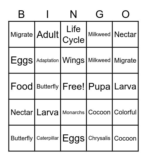 Butterfly Lifecycle Bingo Card