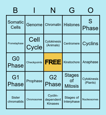 Bio Bingo Card