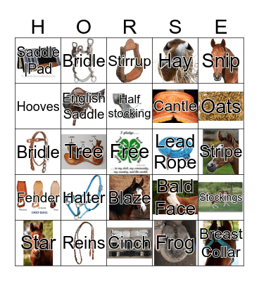 Horse Bingo Card