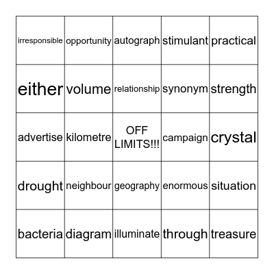 Common Words Bingo Card