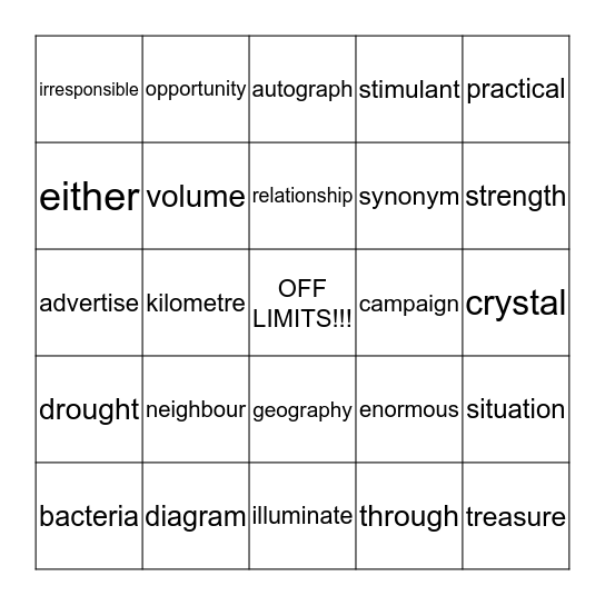 Common Words Bingo Card