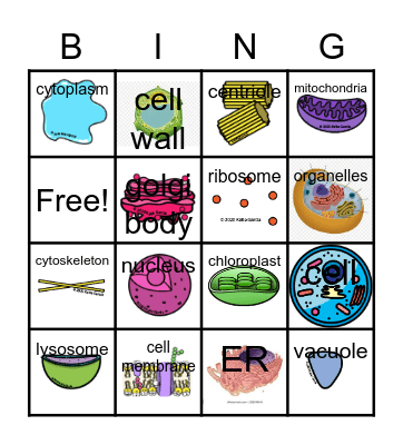 Cells Bingo Card