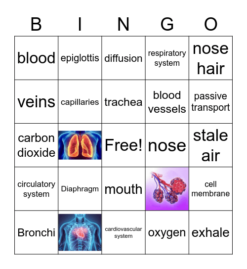 Respiratory System Bingo Card