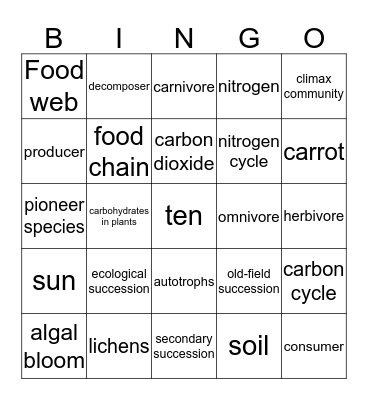 Chp. 5 Review Bingo Card