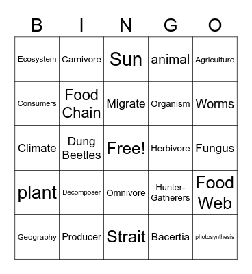 Vocabulary Bingo Card