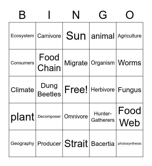 Vocabulary Bingo Card