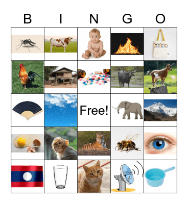 Lao Bingo Card