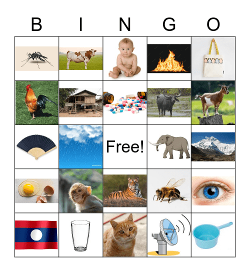 Lao Bingo Card